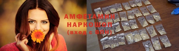 СК Алексин