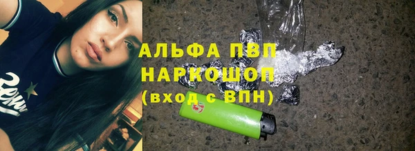 СК Алексин