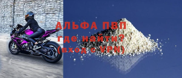 СК Алексин