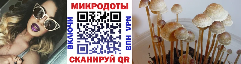 Галлюциногенные грибы мухоморы  Мамоново 
